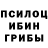 Галлюциногенные грибы GOLDEN TEACHER Doniyor Salimov