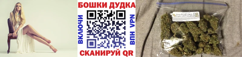 Конопля сатива  это Telegram  Никольское 